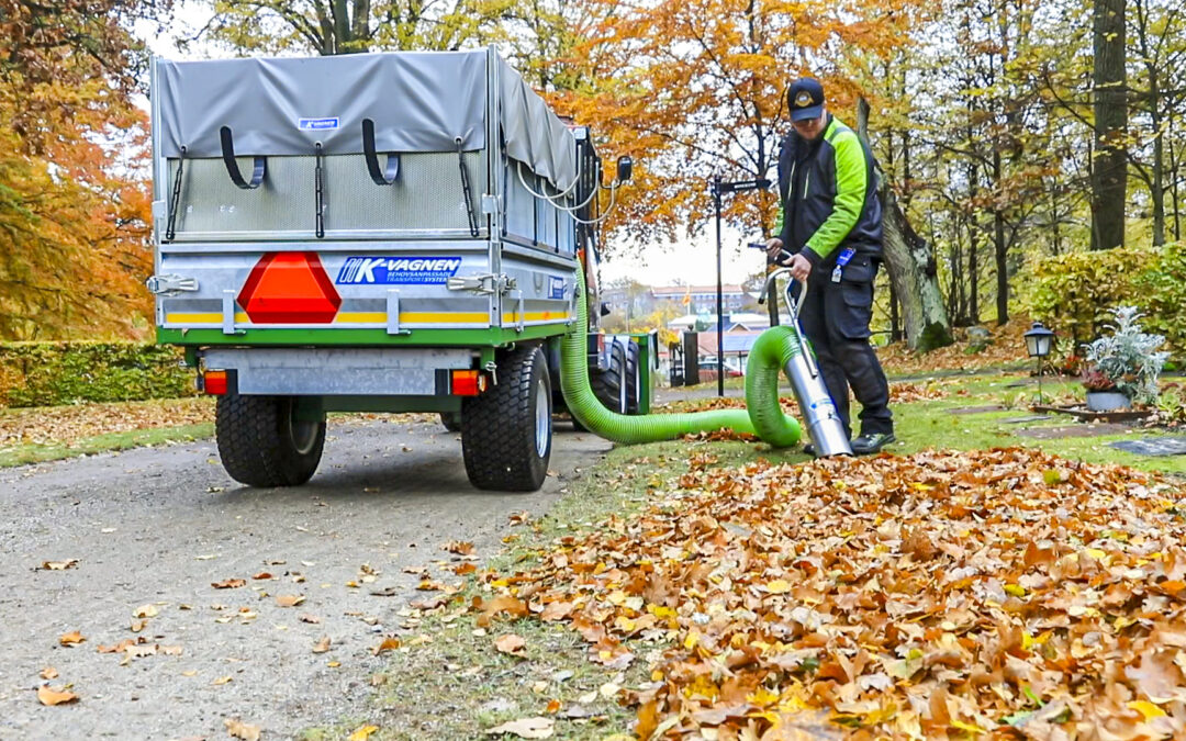 REPORTAGE: DMG den moderna grönytan