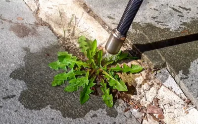 K-heat Eco weedkiller